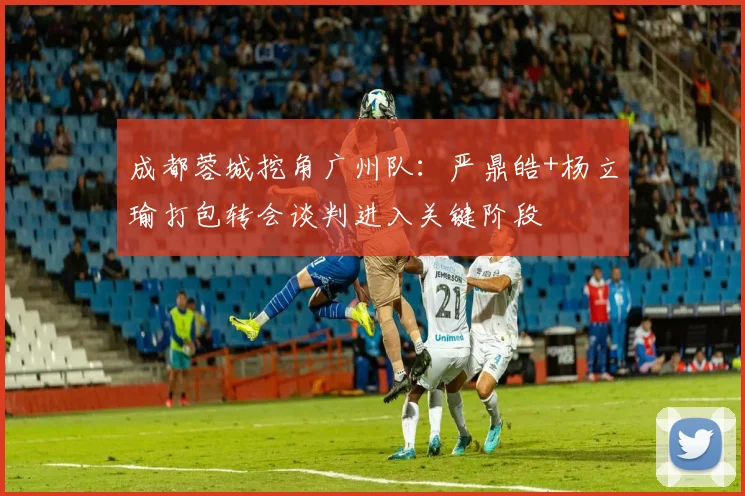 成都蓉城挖角广州队：严鼎皓+杨立瑜打包转会谈判进入关键阶段