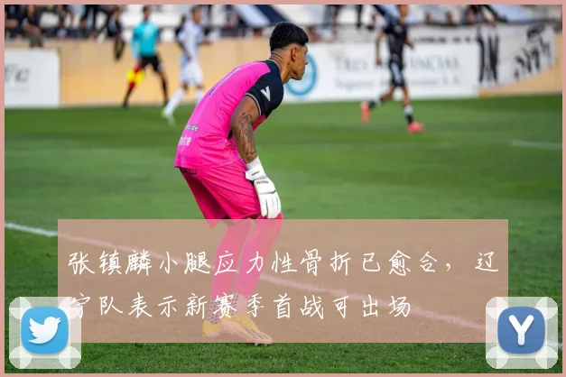 张镇麟小腿应力性骨折已愈合,辽宁队表示新赛季首战可出场